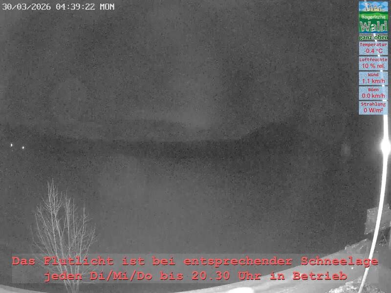 Archiv Foto Webcam Naturpark Oberer Bayerischer Wald - Infopunkt Althütte