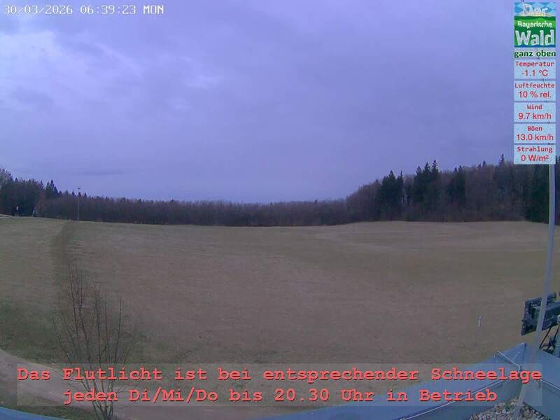 Archiv Foto Webcam Naturpark Oberer Bayerischer Wald - Infopunkt Althütte