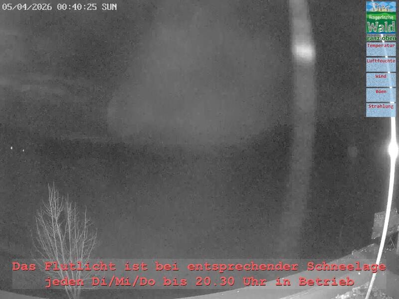 Archived image Webcam Upper Bavarian Forest - Active Center Althütte