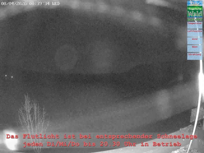 Archiv Foto Webcam Naturpark Oberer Bayerischer Wald - Infopunkt Althütte