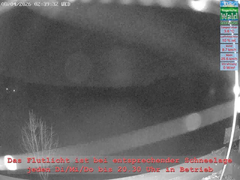 Archiv Foto Webcam Naturpark Oberer Bayerischer Wald - Infopunkt Althütte