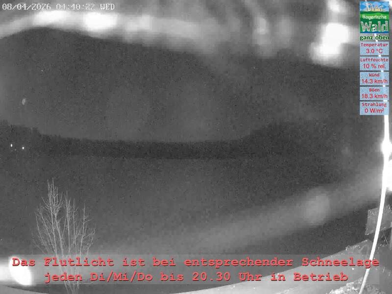 Archiv Foto Webcam Naturpark Oberer Bayerischer Wald - Infopunkt Althütte