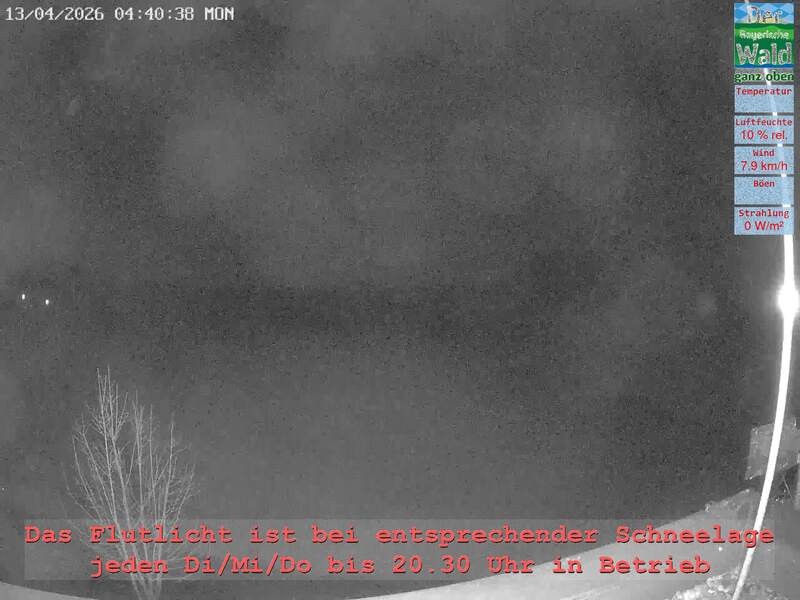 Archiv Foto Webcam Naturpark Oberer Bayerischer Wald - Infopunkt Althütte