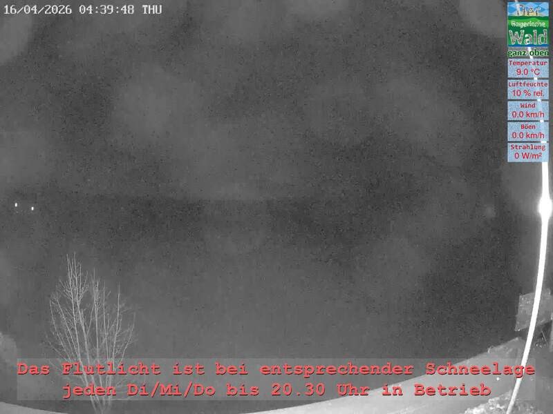 Archiv Foto Webcam Naturpark Oberer Bayerischer Wald - Infopunkt Althütte