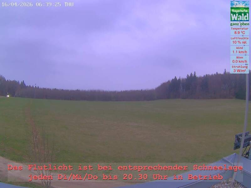 Archiv Foto Webcam Naturpark Oberer Bayerischer Wald - Infopunkt Althütte