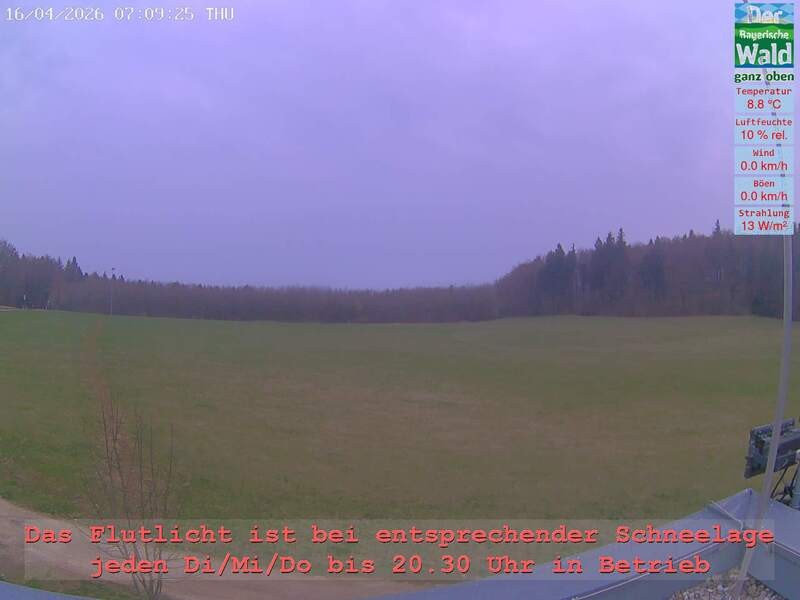 Archiv Foto Webcam Naturpark Oberer Bayerischer Wald - Infopunkt Althütte