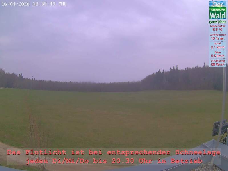 Archiv Foto Webcam Naturpark Oberer Bayerischer Wald - Infopunkt Althütte