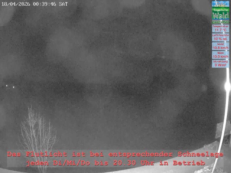 Archiv Foto Webcam Naturpark Oberer Bayerischer Wald - Infopunkt Althütte