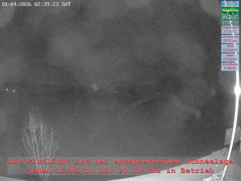 Archiv Foto Webcam Naturpark Oberer Bayerischer Wald - Infopunkt Althütte