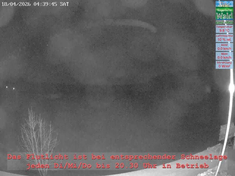 Archiv Foto Webcam Naturpark Oberer Bayerischer Wald - Infopunkt Althütte