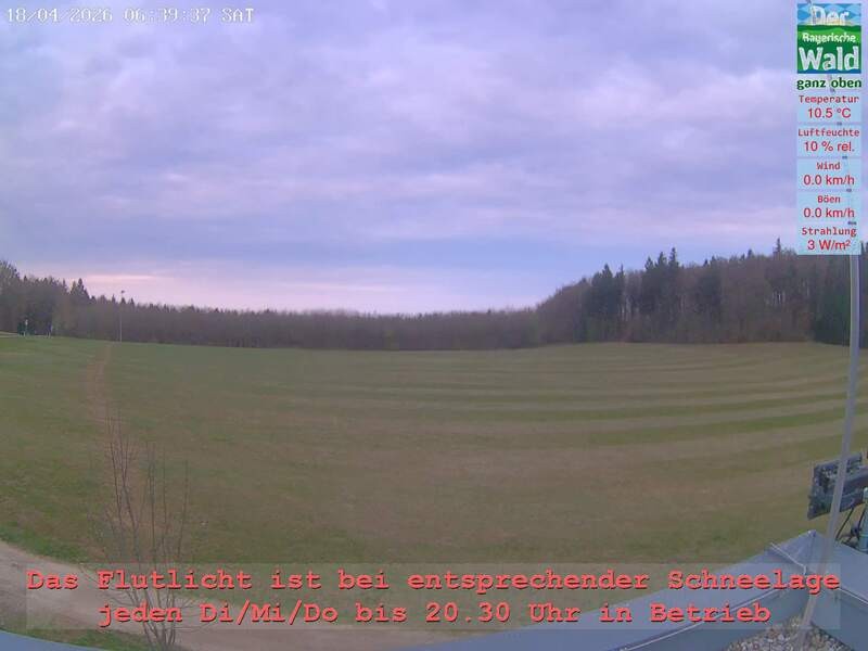 Archiv Foto Webcam Naturpark Oberer Bayerischer Wald - Infopunkt Althütte