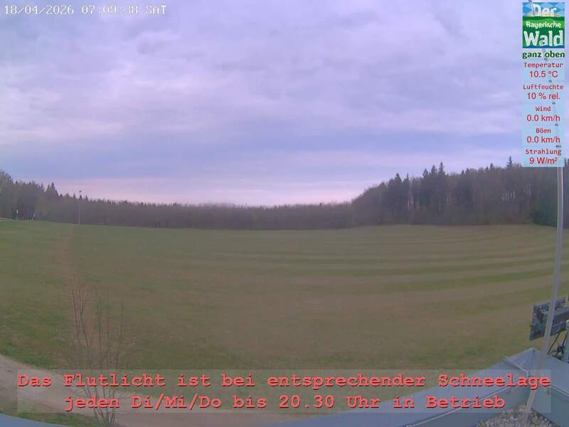 Archiv Foto Webcam Naturpark Oberer Bayerischer Wald - Infopunkt Althütte