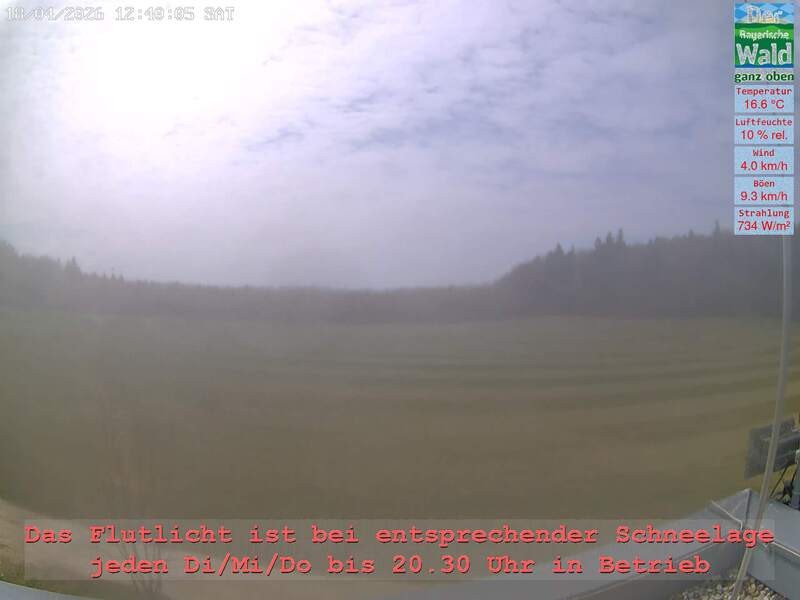 Archiv Foto Webcam Naturpark Oberer Bayerischer Wald - Infopunkt Althütte