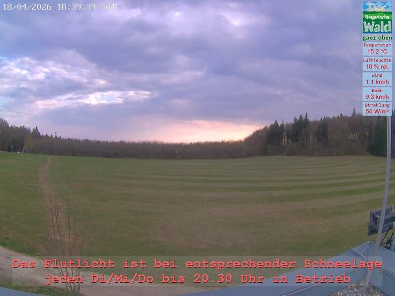 Archiv Foto Webcam Naturpark Oberer Bayerischer Wald - Infopunkt Althütte