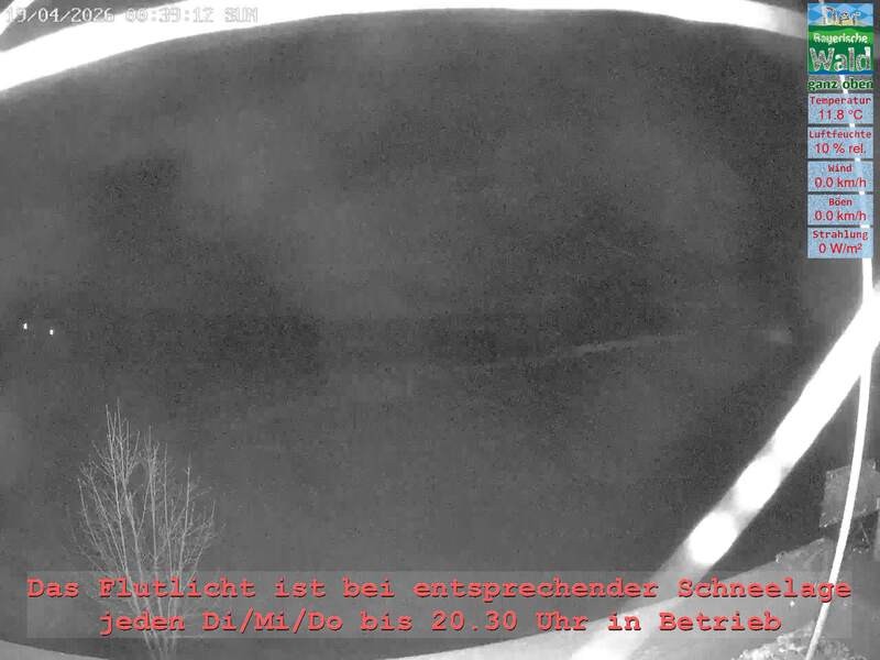 Archiv Foto Webcam Naturpark Oberer Bayerischer Wald - Infopunkt Althütte