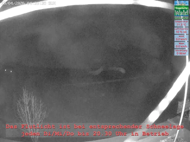 Archiv Foto Webcam Naturpark Oberer Bayerischer Wald - Infopunkt Althütte