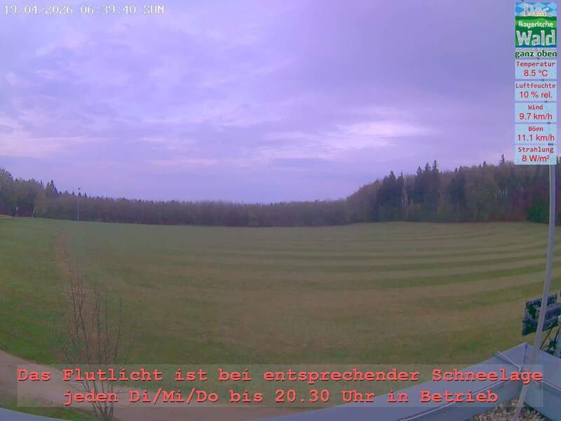 Archiv Foto Webcam Naturpark Oberer Bayerischer Wald - Infopunkt Althütte