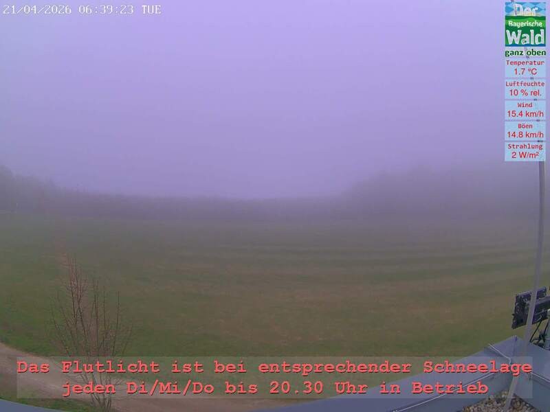 Archiv Foto Webcam Naturpark Oberer Bayerischer Wald - Infopunkt Althütte