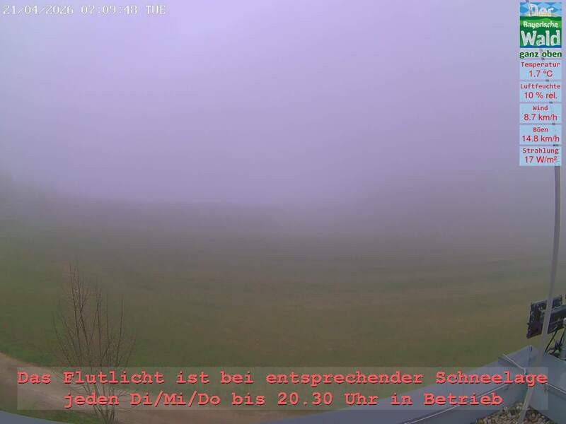 Archiv Foto Webcam Naturpark Oberer Bayerischer Wald - Infopunkt Althütte