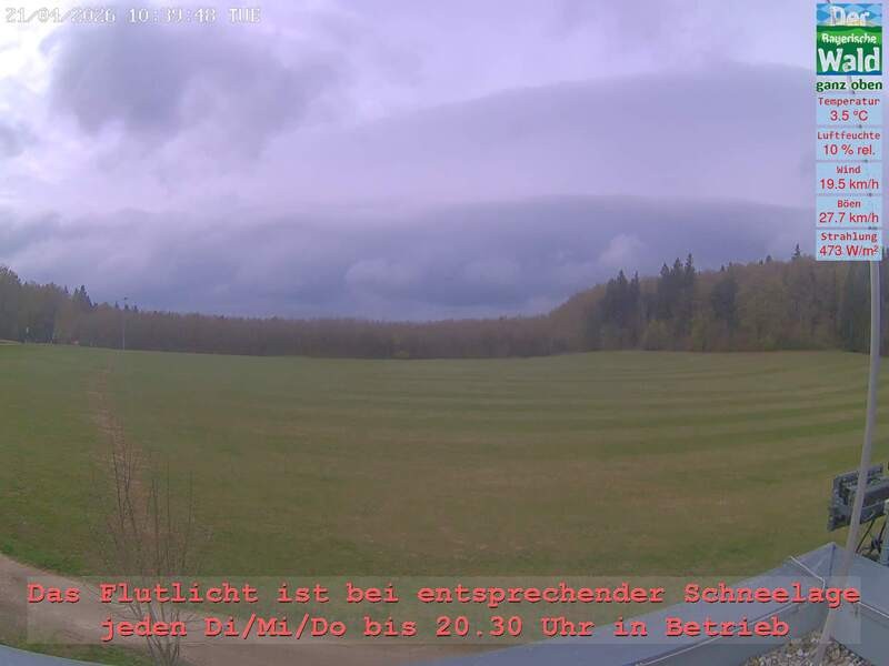 Archiv Foto Webcam Naturpark Oberer Bayerischer Wald - Infopunkt Althütte