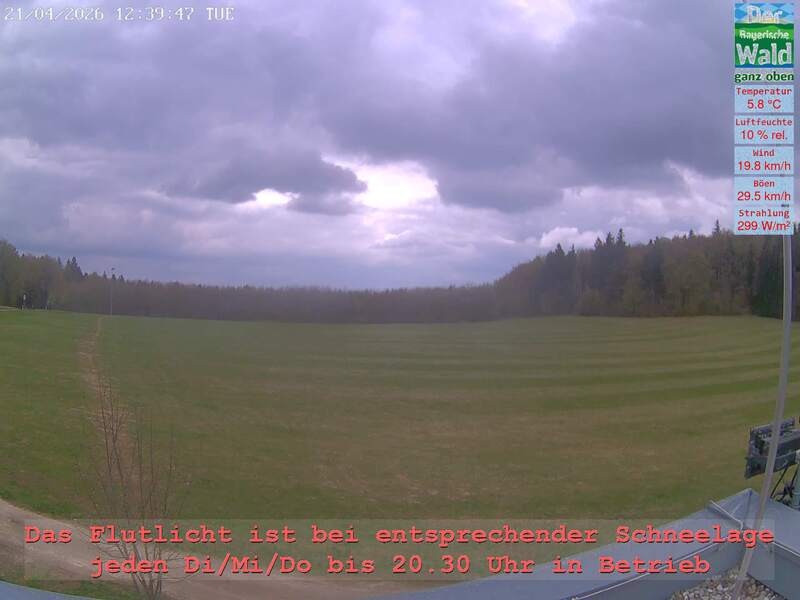 Archiv Foto Webcam Naturpark Oberer Bayerischer Wald - Infopunkt Althütte