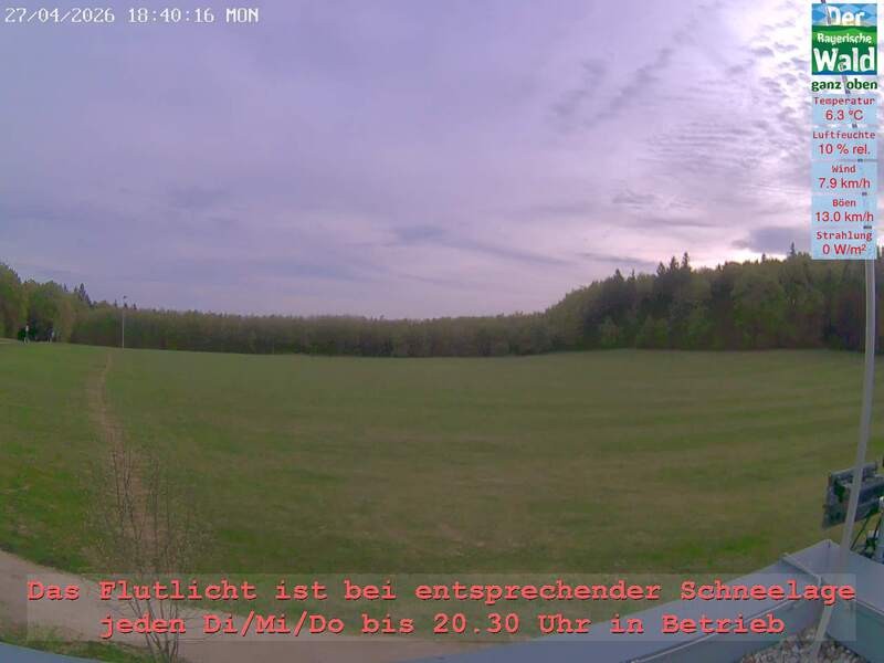 Archiv Foto Webcam Naturpark Oberer Bayerischer Wald - Infopunkt Althütte