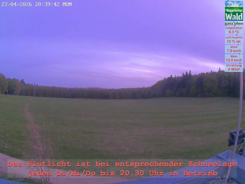 Archiv Foto Webcam Naturpark Oberer Bayerischer Wald - Infopunkt Althütte