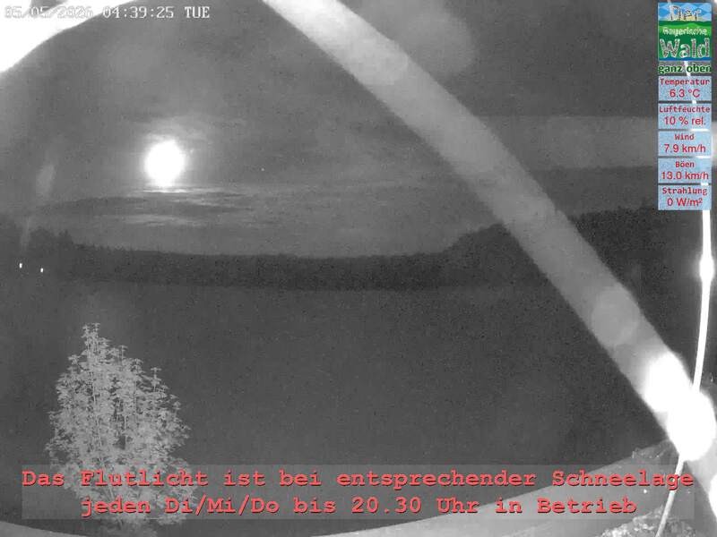 Archiv Foto Webcam Naturpark Oberer Bayerischer Wald - Infopunkt Althütte