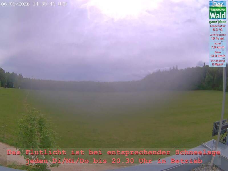 Archiv Foto Webcam Naturpark Oberer Bayerischer Wald - Infopunkt Althütte
