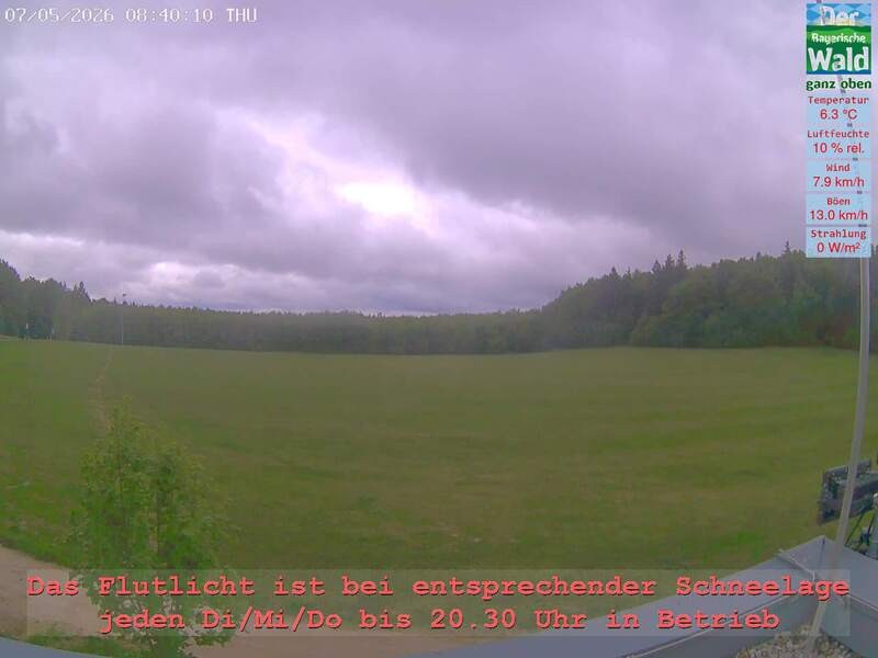 Archiv Foto Webcam Naturpark Oberer Bayerischer Wald - Infopunkt Althütte