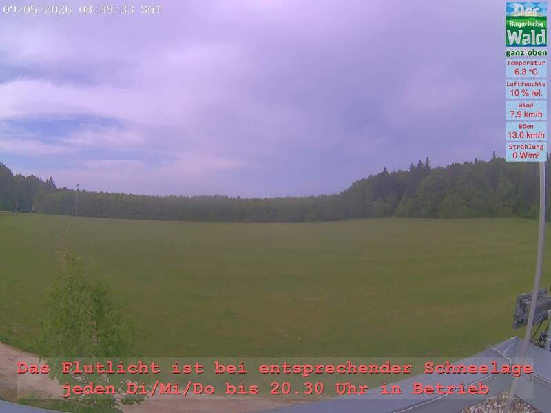 Archiv Foto Webcam Naturpark Oberer Bayerischer Wald - Infopunkt Althütte