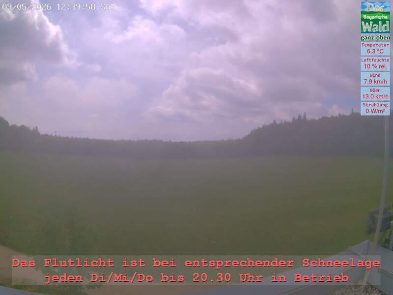 Archiv Foto Webcam Naturpark Oberer Bayerischer Wald - Infopunkt Althütte