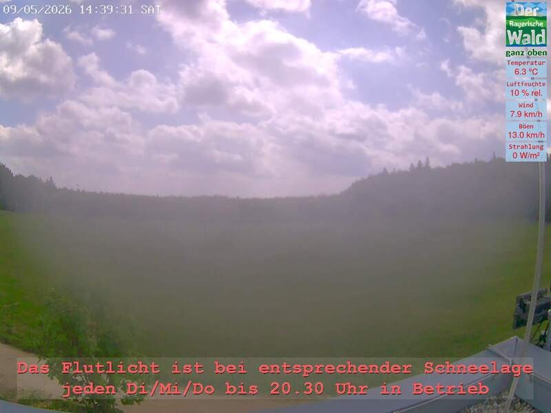 Archiv Foto Webcam Naturpark Oberer Bayerischer Wald - Infopunkt Althütte