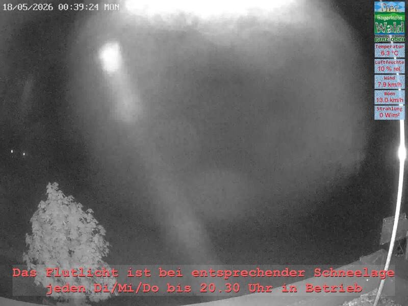Archiv Foto Webcam Naturpark Oberer Bayerischer Wald - Infopunkt Althütte