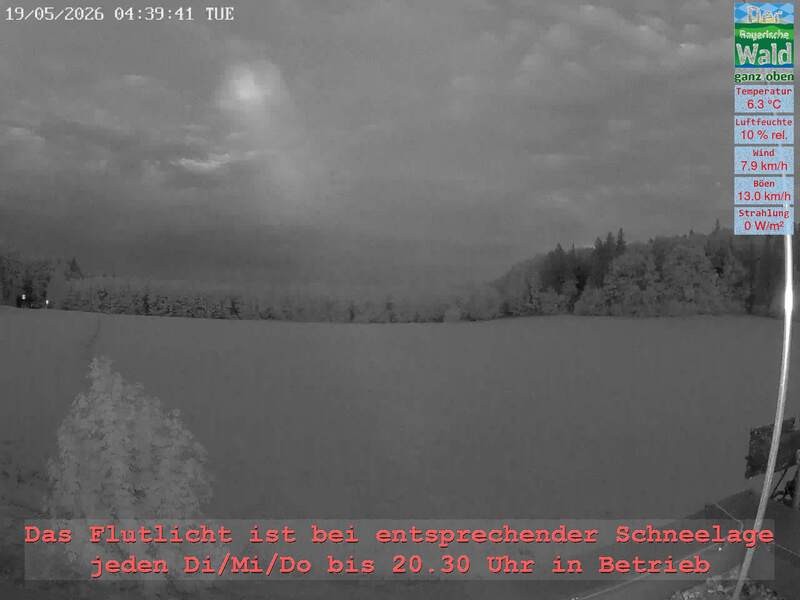 Archiv Foto Webcam Naturpark Oberer Bayerischer Wald - Infopunkt Althütte