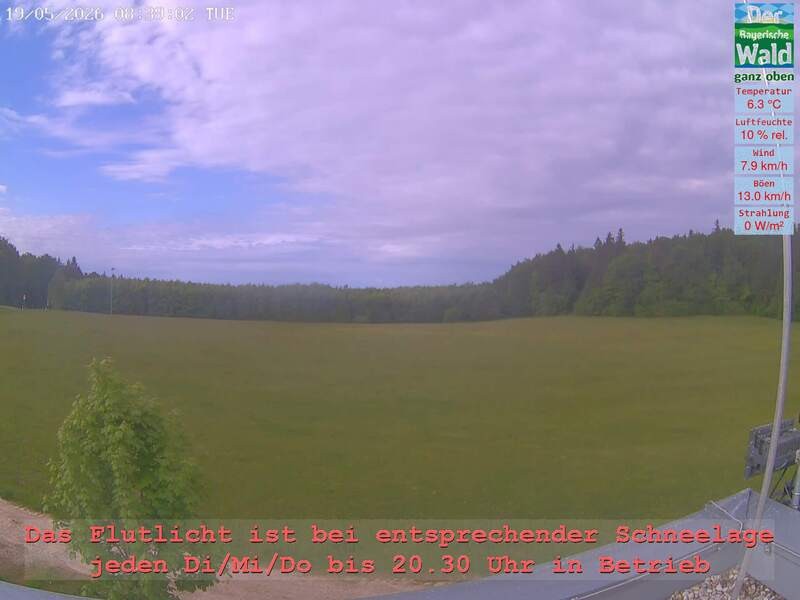 Archiv Foto Webcam Naturpark Oberer Bayerischer Wald - Infopunkt Althütte