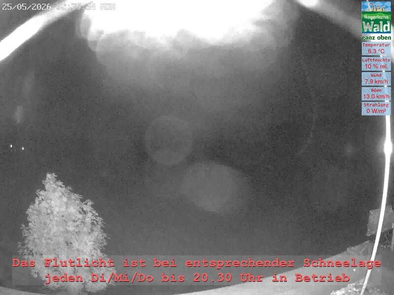 Archiv Foto Webcam Naturpark Oberer Bayerischer Wald - Infopunkt Althütte