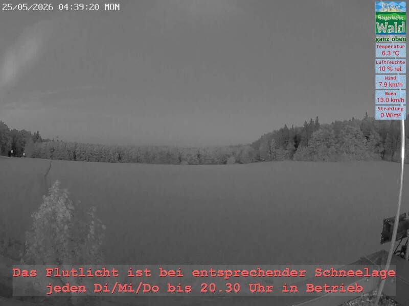 Archiv Foto Webcam Naturpark Oberer Bayerischer Wald - Infopunkt Althütte