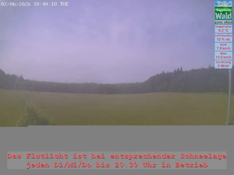 Archiv Foto Webcam Naturpark Oberer Bayerischer Wald - Infopunkt Althütte