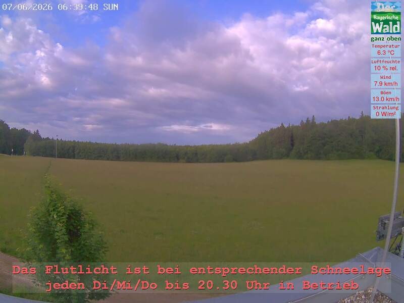 Archiv Foto Webcam Naturpark Oberer Bayerischer Wald - Infopunkt Althütte
