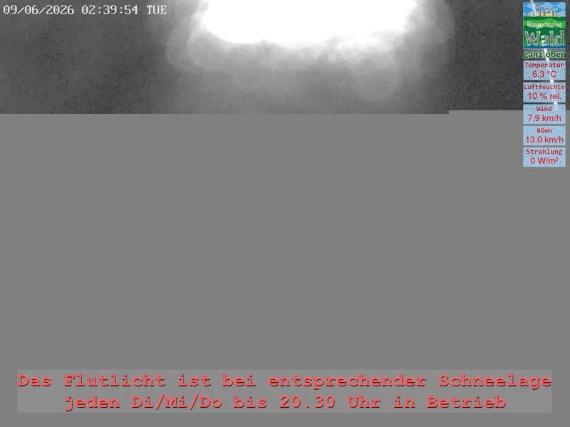 Archiv Foto Webcam Naturpark Oberer Bayerischer Wald - Infopunkt Althütte