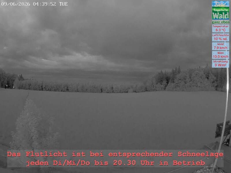 Archiv Foto Webcam Naturpark Oberer Bayerischer Wald - Infopunkt Althütte