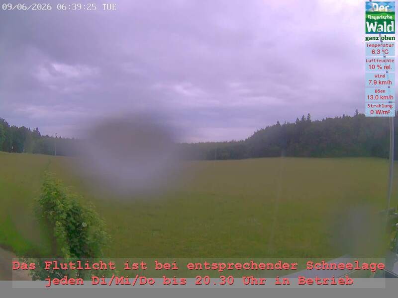 Archiv Foto Webcam Naturpark Oberer Bayerischer Wald - Infopunkt Althütte