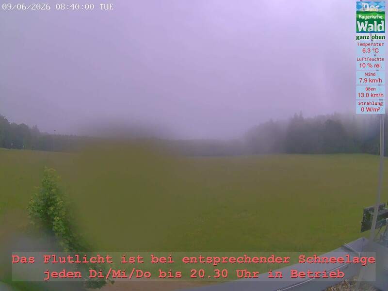 Archiv Foto Webcam Naturpark Oberer Bayerischer Wald - Infopunkt Althütte