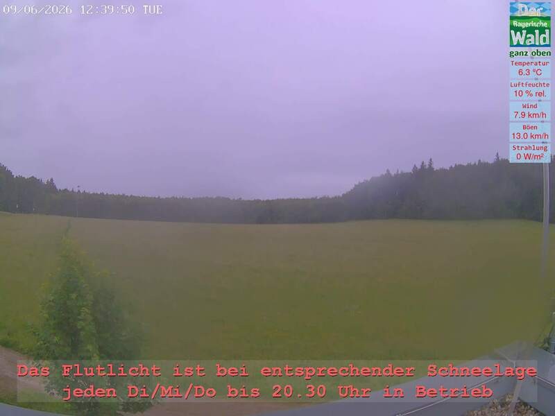 Archiv Foto Webcam Naturpark Oberer Bayerischer Wald - Infopunkt Althütte