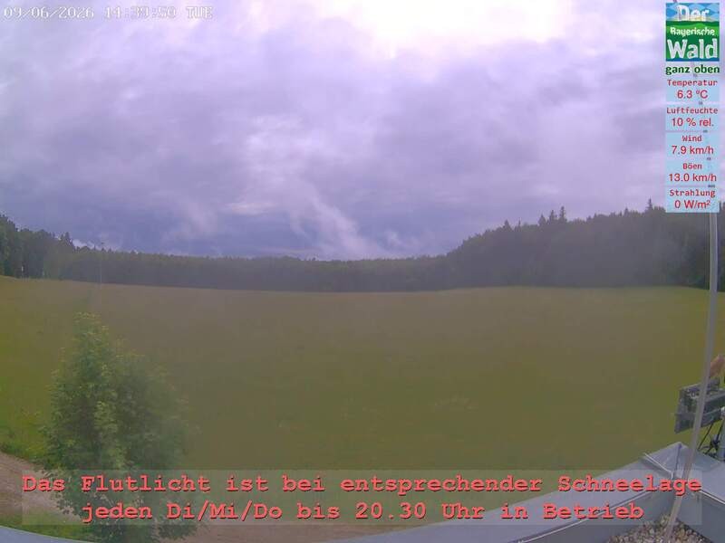 Archiv Foto Webcam Naturpark Oberer Bayerischer Wald - Infopunkt Althütte