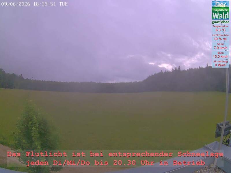 Archiv Foto Webcam Naturpark Oberer Bayerischer Wald - Infopunkt Althütte