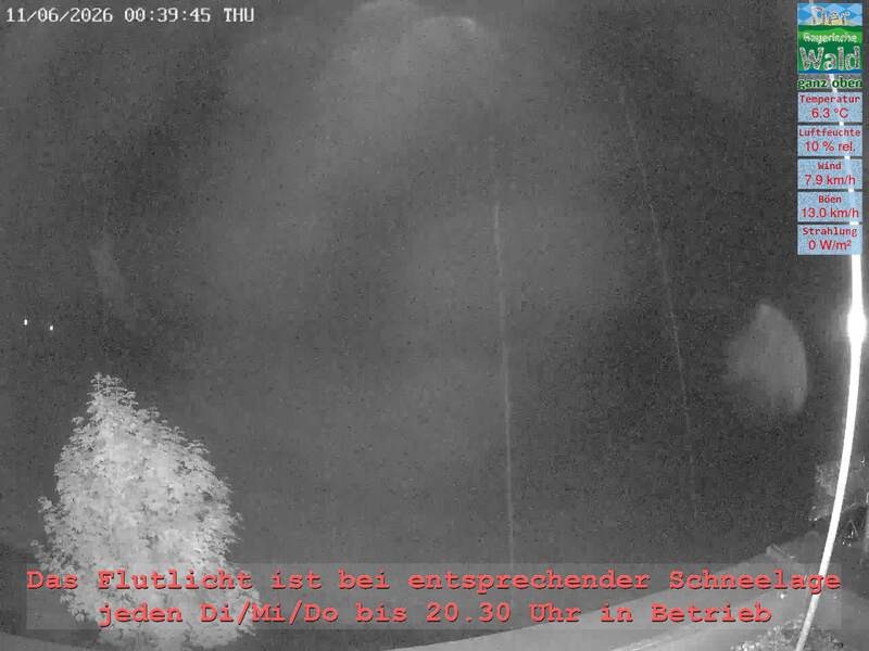 Archiv Foto Webcam Naturpark Oberer Bayerischer Wald - Infopunkt Althütte