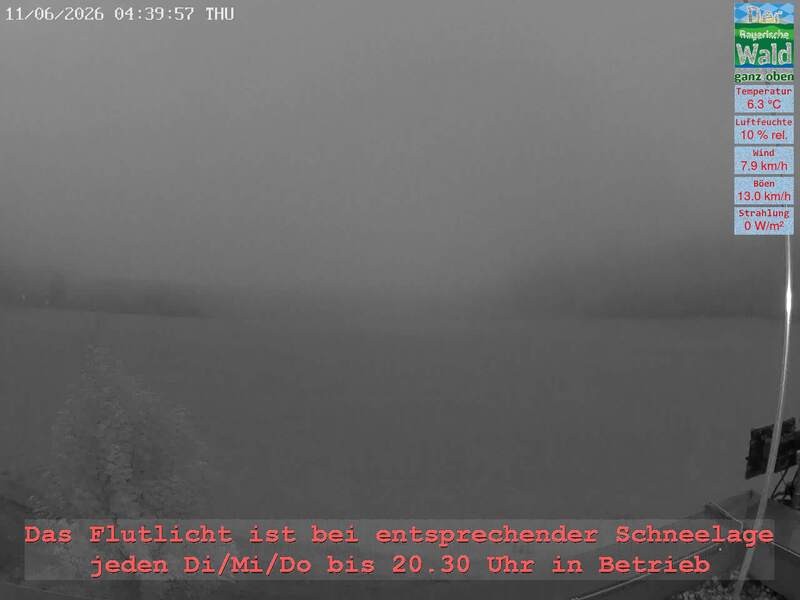 Archiv Foto Webcam Naturpark Oberer Bayerischer Wald - Infopunkt Althütte