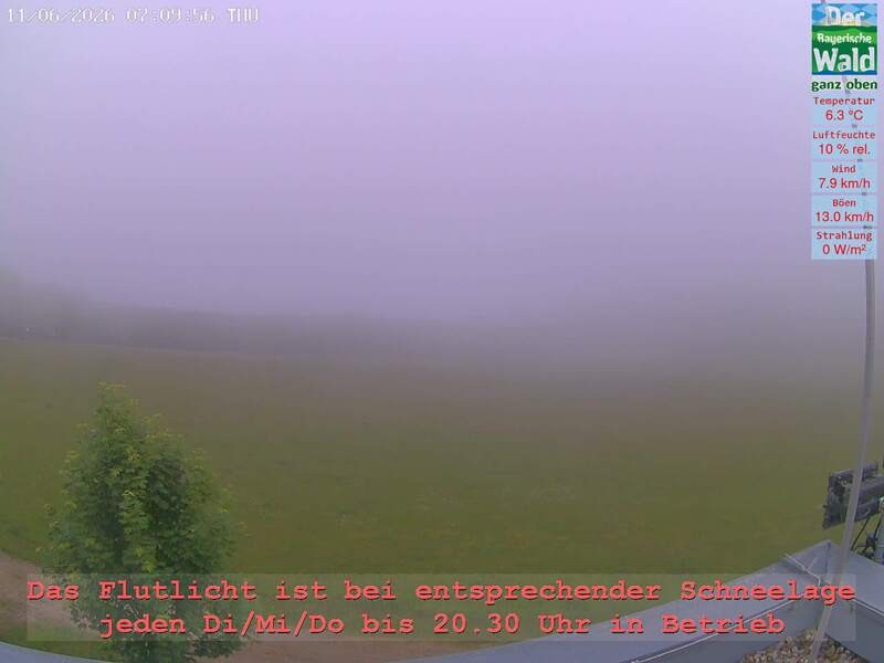 Archiv Foto Webcam Naturpark Oberer Bayerischer Wald - Infopunkt Althütte
